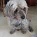 Carmen Bouchard - Facebook