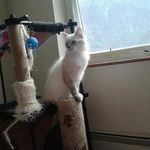 Carmen Brenner - @brennercarmen56 - Instagram