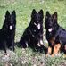 Carmen Brenner - Facebook