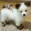 carmenobright - @br1ghtprincess - TikTok