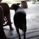 Carmen Browne - @browne6356 - Instagram