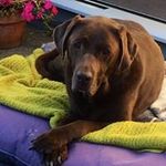 Carmen Browne - @browne.carmen - Instagram