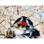 Carmen - @carmenbrowne__gwgyu - Instagram