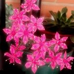 CarmenCagezuelo - @carmencabezuelo5 - Instagram