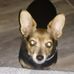 Carmen Carpenter - Facebook