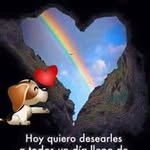 Carmen Ceceña - @cecena.carmen - Instagram