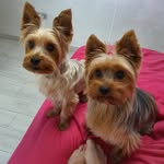 Mari Carmen Cerda Ramon - @mcerdaramon - Instagram