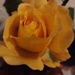 Carmen Chamorro - @carmen.chamorro.1952 - Instagram