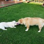 Carmen Colunga Garcia - @carmencolungagarcia - Instagram