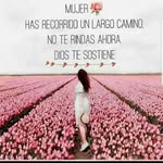 Carmen Deleisi Viola Comas - @carmendeleisi - Instagram