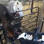 Carmen Cotter - @carmencotter - Instagram