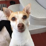 Carmelita Q Crowley - @carmelitaqcrowley - Instagram