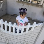 Carmen van Rooi - @carmencullen4 - Instagram