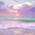 Rachel Carmen Daugherty - @rachelcdaugherty78 - Instagram