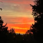 Carmen Fixsen Phillips - @carmenfixsen - Instagram