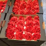 carmen flower - @carmen_flower_srl - Instagram