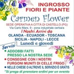 ingrosso fiori 💐 - @carmenflower_sas - Instagram