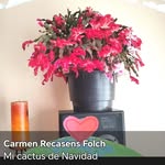 Carmen Recasens Folch - @recasend - Instagram