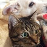 Carmen Greco - @carmengreco1960 - Instagram