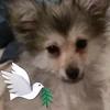 carmengreco168 - @carmengreco168 - TikTok