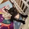 carmenhancock6 - @cameron.king501 - TikTok