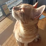 Carmen Bart Hauser - @polli_1948 - Instagram