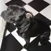 carmenhawkins625 - @carmenhawkins625 - TikTok