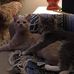 Carmen Hedrick - Facebook