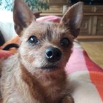Carmen Heller - @caheller50 - Instagram