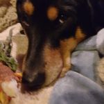 Carmen Helm - @carmen.helm.336 - Instagram