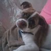 Carmen Helm - @carmenhelm - TikTok