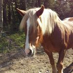 Carmen Helmö - @helmocarmen - Instagram