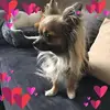 Carmen Hermo - @carmenkyxina - TikTok