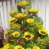 carmenhermo60 - @carmenhermo60 - TikTok