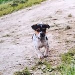 Carmen Hess - @carmenhess45 - Instagram