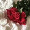 Carmen Hinkle - @carmenhinkle6449 - TikTok