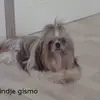 Carmen Hoffmann - @carmenhoffmann75 - TikTok