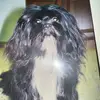 Carmen Hoffmann - @carmen.hoffmann6 - TikTok