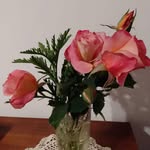 Maria Del Carmen Hoffman - @mariadelcarmenhoffman - Instagram