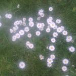 Carmen Jansen - @laut.und.bunt - Instagram