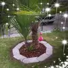carmenjansen - @carmenjansen - TikTok