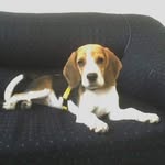 Carmen Jaramillo - @carmen.jaramillo.54922169 - Instagram