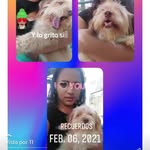 Carmen Jaramillo - @carmen.jaramillo.3194524 - Instagram