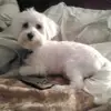 MsladyC - @carmenjordan72 - TikTok