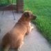 Carmen Keyes - Facebook