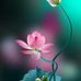 Carmy Kheed - Facebook