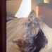 Carmen Labonte - Facebook