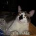 Carmen Lamb - Facebook