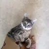carmenleblanc315 - @carmenleblanc315 - TikTok