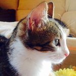 Carmen Lerma - @clermap - Instagram